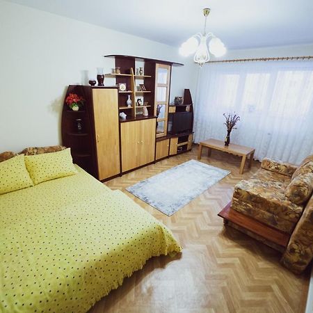 Apartament Slanic Prahova公寓 外观 照片